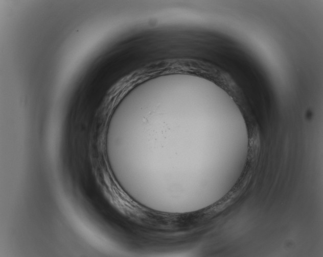 X0000093510765200710121103