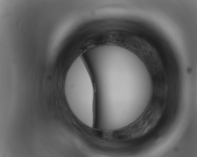 X0000093510766200710121103