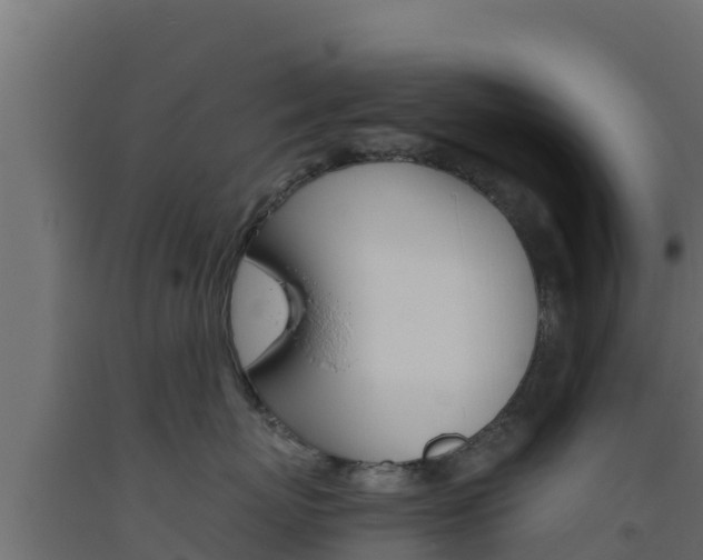 X0000093510767200710121103