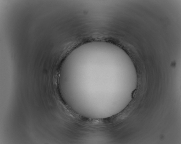 X0000093510768200710121103