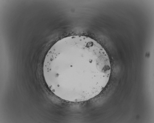 X0000093510769200710121102