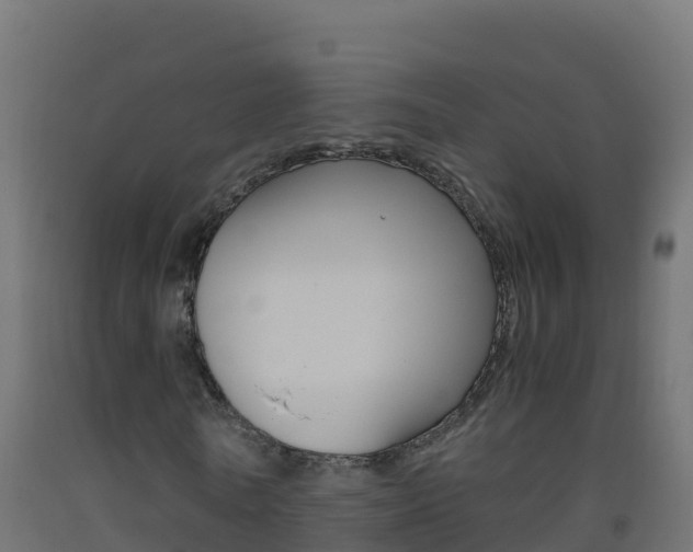 X0000093510770200710121102