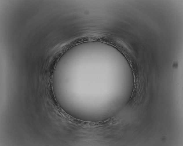 X0000093510773200710121102