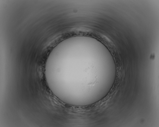 X0000093510774200710121102