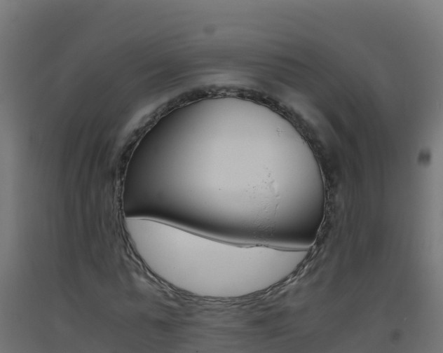 X0000093510775200710121102