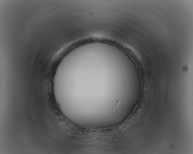 X0000093510776200710121102