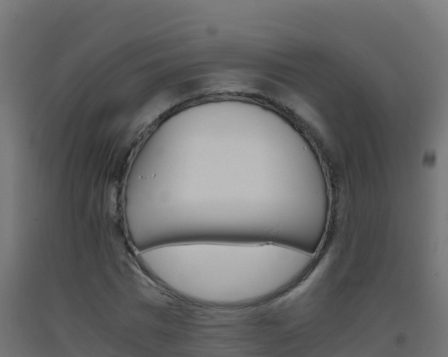 X0000093510777200710121102