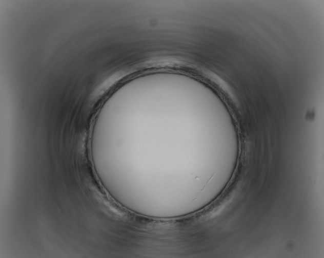 X0000093510778200710121102