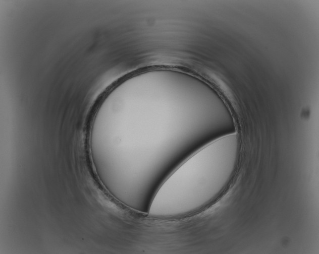 X0000093510779200710121102