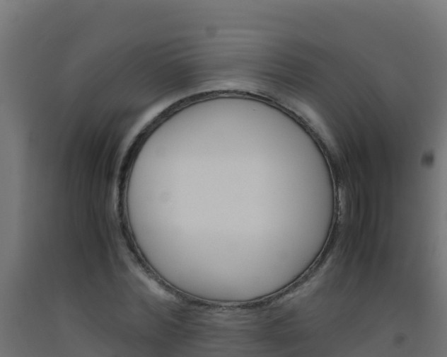 X0000093510780200710121102