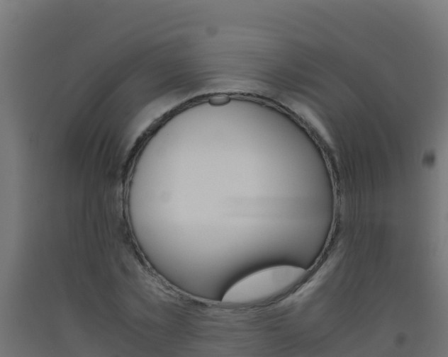 X0000093510781200710121102
