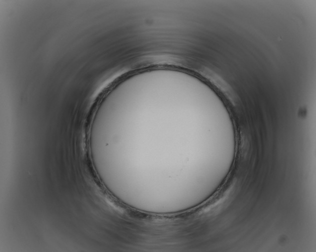 X0000093510782200710121102