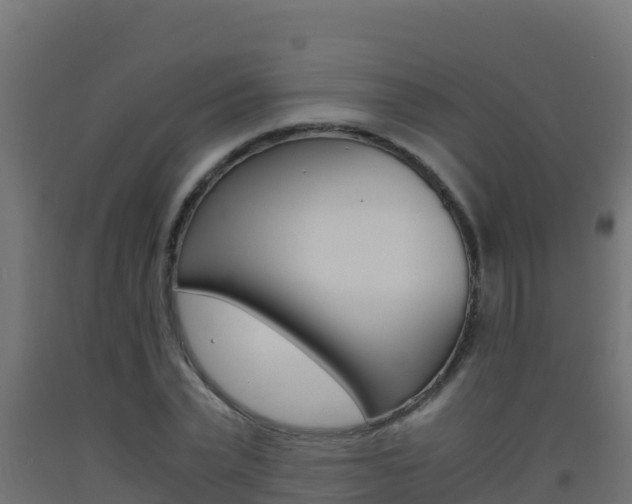 X0000093510783200710121102