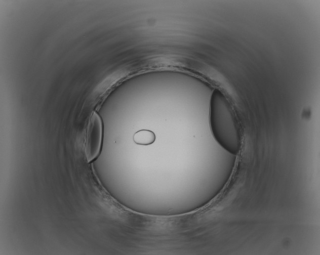 X0000093510785200710121102