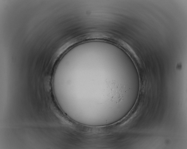 X0000093510786200710121102