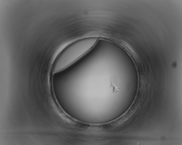 X0000093510788200710121102