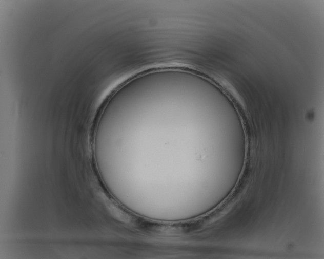 X0000093510789200710121102