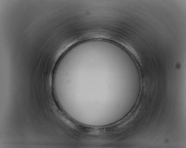 X0000093510790200710121102