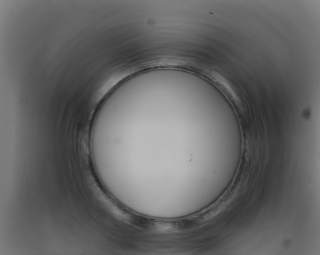 X0000093510794200710121102
