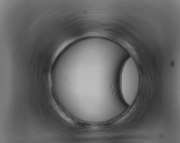 X0000093510796200710121102