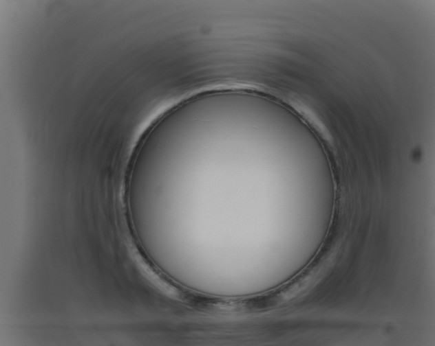 X0000093510797200710121102
