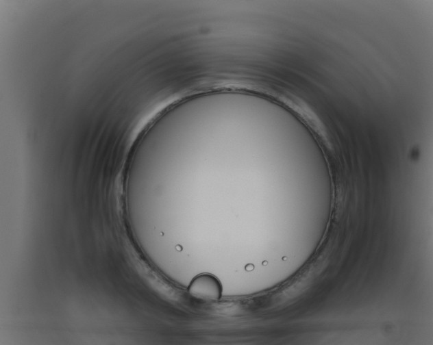 X0000093510798200710121102