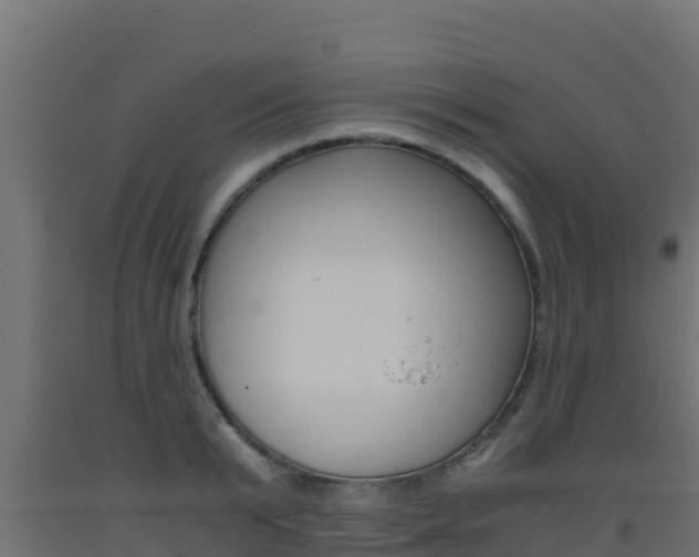 X0000093510799200710121102