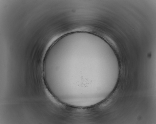 X0000093510800200710121102