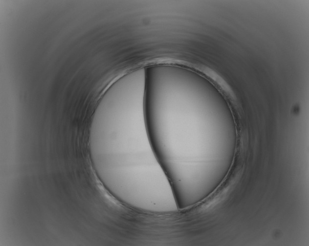 X0000093510801200710121102