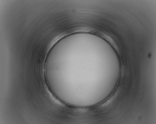 X0000093510802200710121102