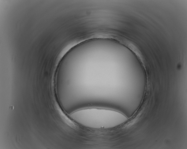 X0000093510803200710121102