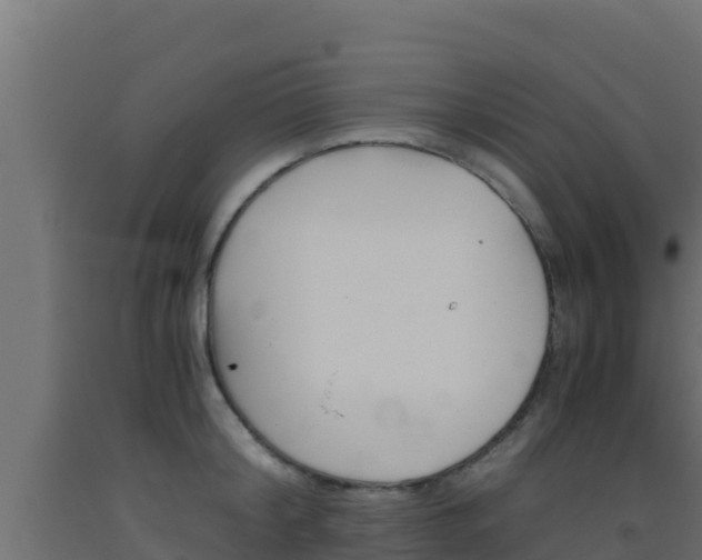 X0000093510804200710121102