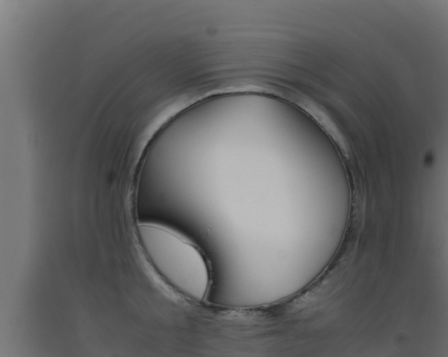 X0000093510805200710121102