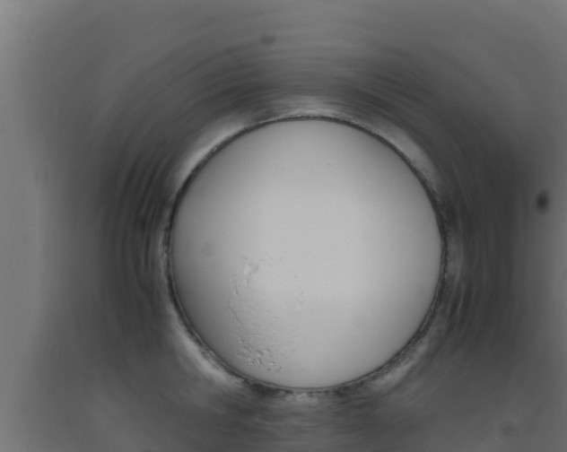 X0000093510806200710121102