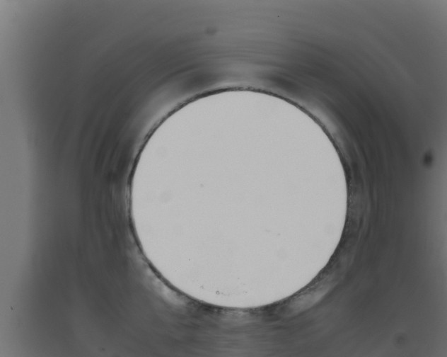 X0000093510807200710121102