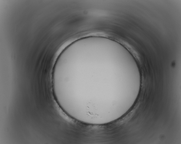 X0000093510808200710121102