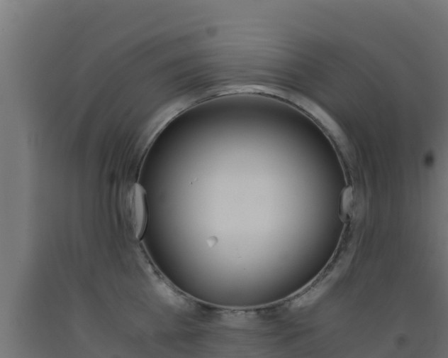 X0000093510809200710121102