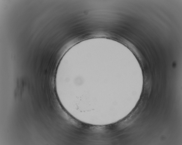 X0000093510810200710121102