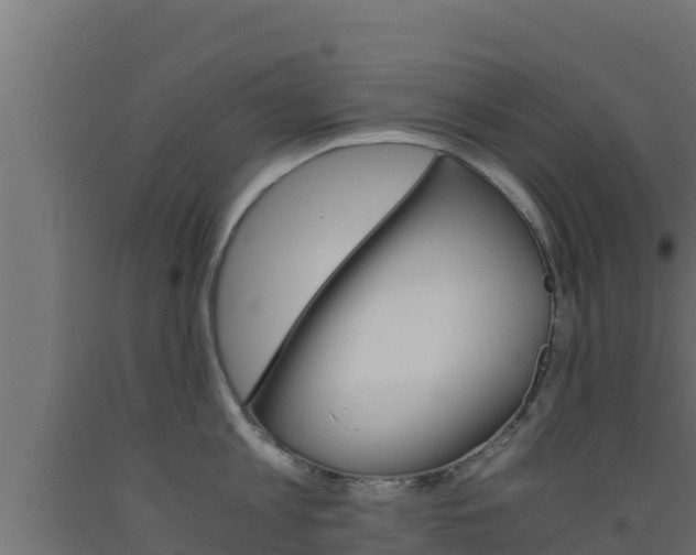 X0000093510813200710121102