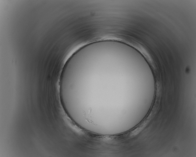 X0000093510814200710121102