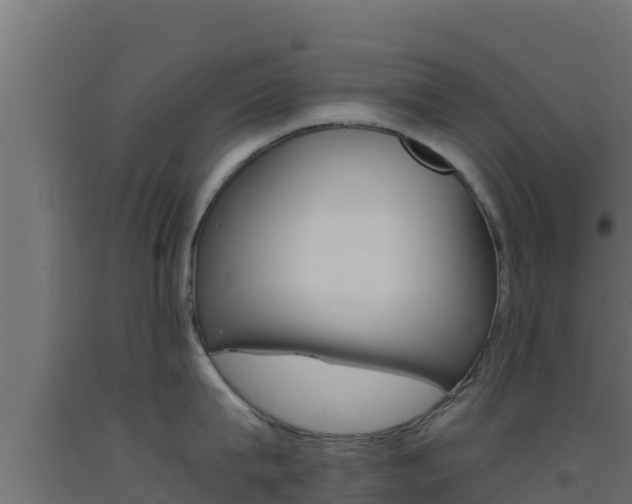 X0000093510815200710121102