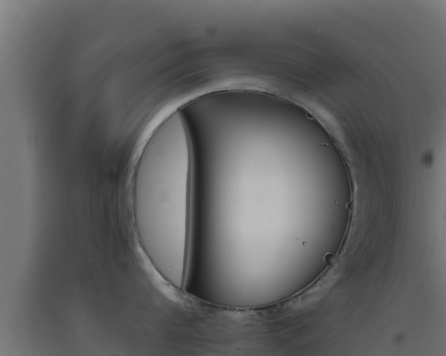 X0000093510816200710121102