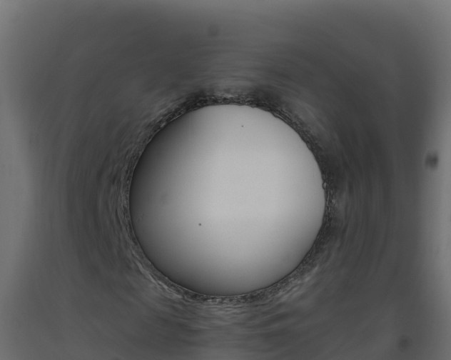 X0000093510817200710121101