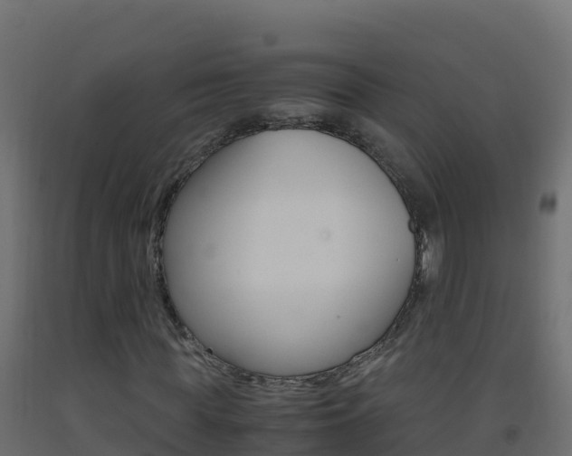 X0000093510819200710121101