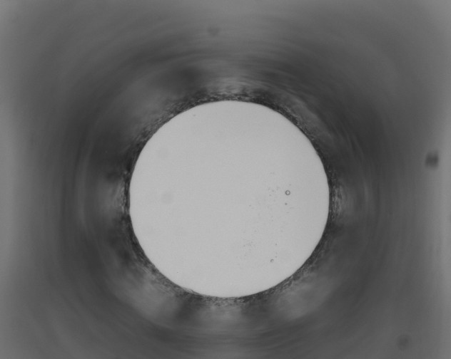 X0000093510820200710121101
