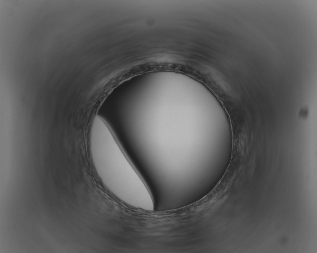 X0000093510821200710121101