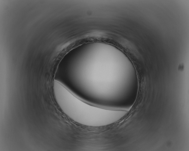 X0000093510822200710121101