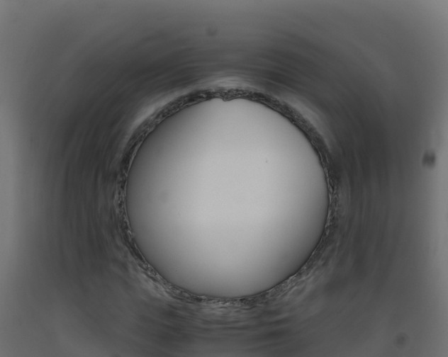 X0000093510823200710121101