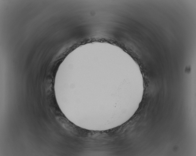 X0000093510824200710121101