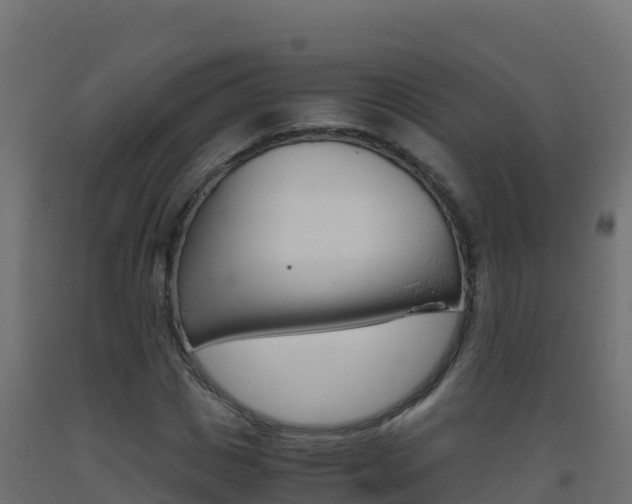 X0000093510825200710121101